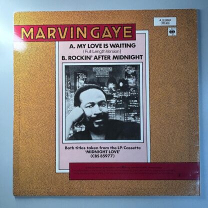 Marvin Gaye – My Love Is Waiting - Image 4