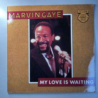 Marvin Gaye – My Love Is Waiting