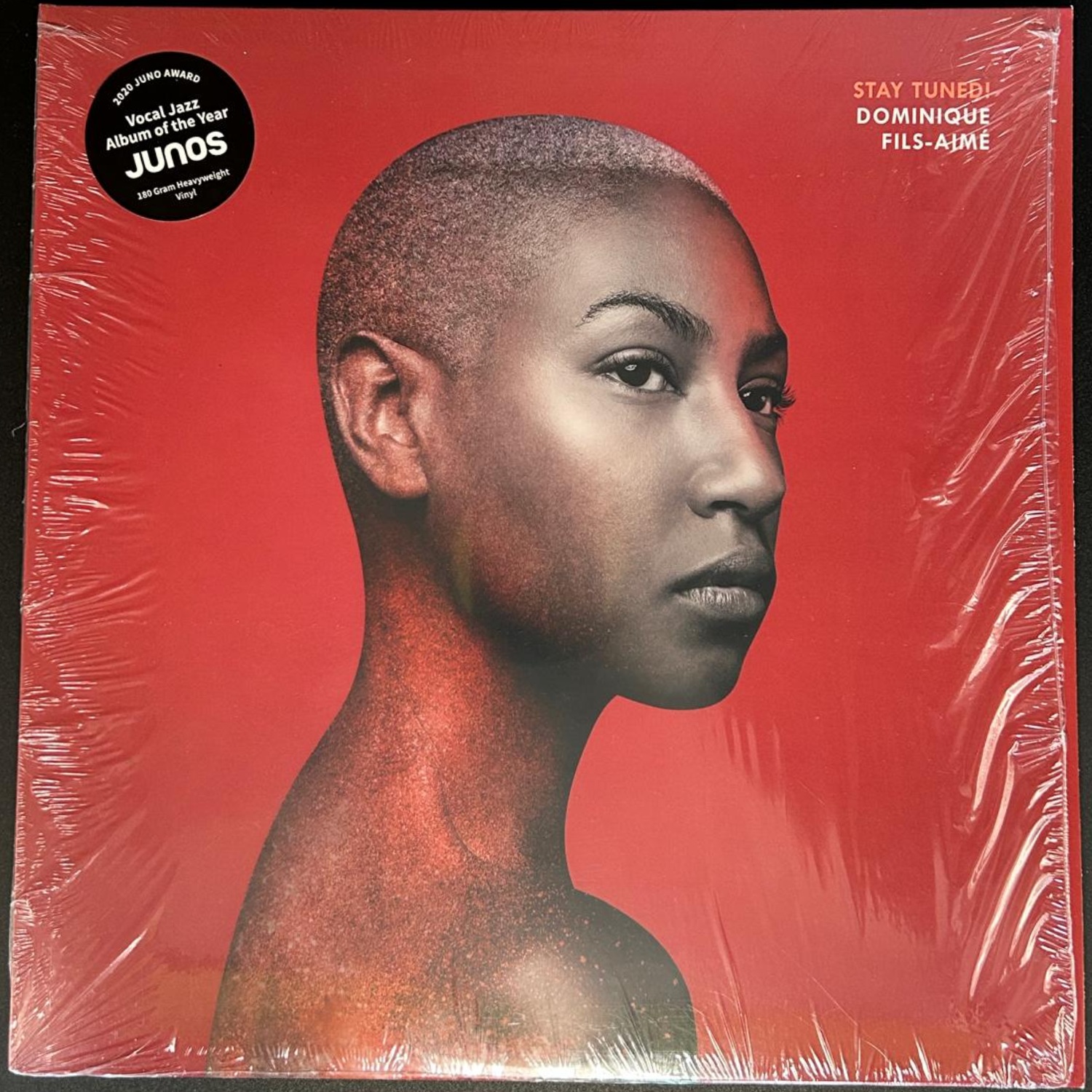 Dominique Fils-Aimé – Stay Tuned!